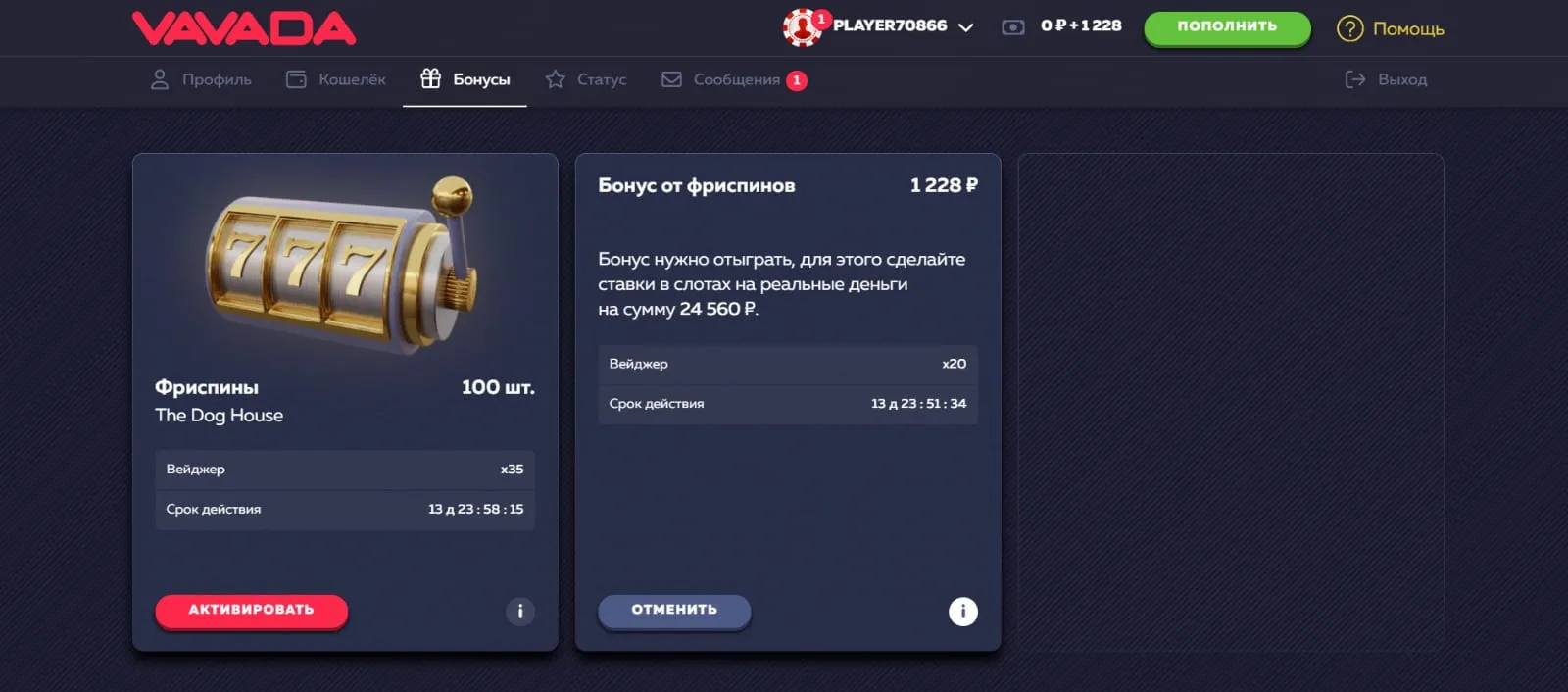 Бонусы Вавада